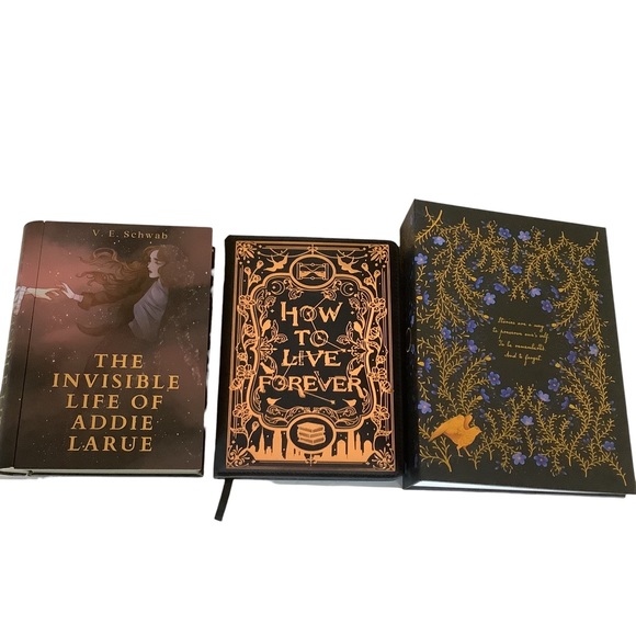 The Invisible Life of Addie Larue Lot Tin Notebook Album Fabric Bin - Picture 2 of 15